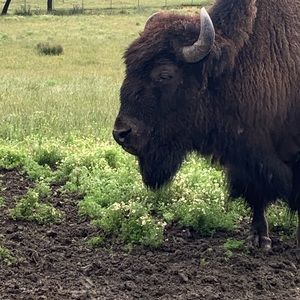 Meet your Posher, Mason